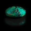 Chrysocolle